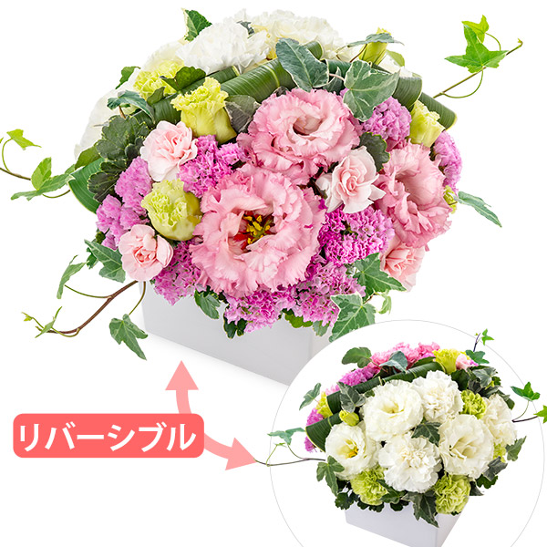 【開店祝い・開業祝い(法人）】トルコキキョウのリバーシブルアレンジメント（ピンク・白）