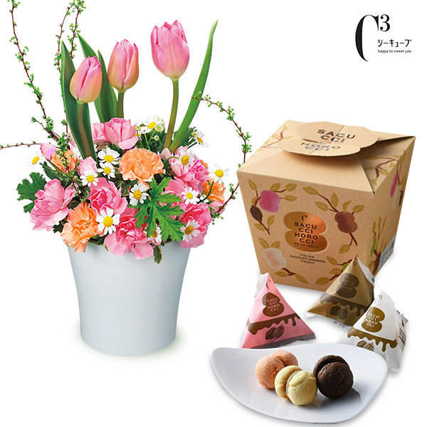 【春のセットギフト】チューリップのアレンジメントと【シーキューブ】サクッチ・ホロッチ 12個入