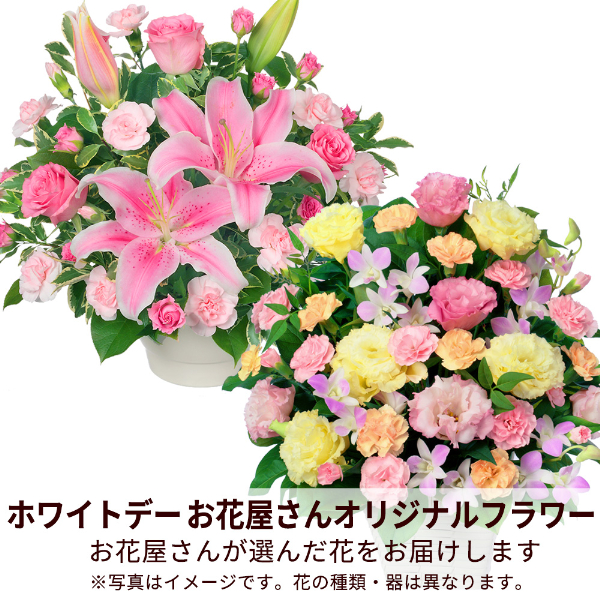 【ホワイトデー 花屋さんおすすめギフト】【花屋オリジナル】ホワイトデーのアレンジメント