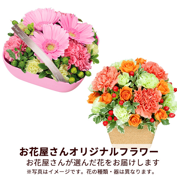 【予算で選ぶ  3000円から】【お花屋さんおすすめ】オリジナルアレンジ