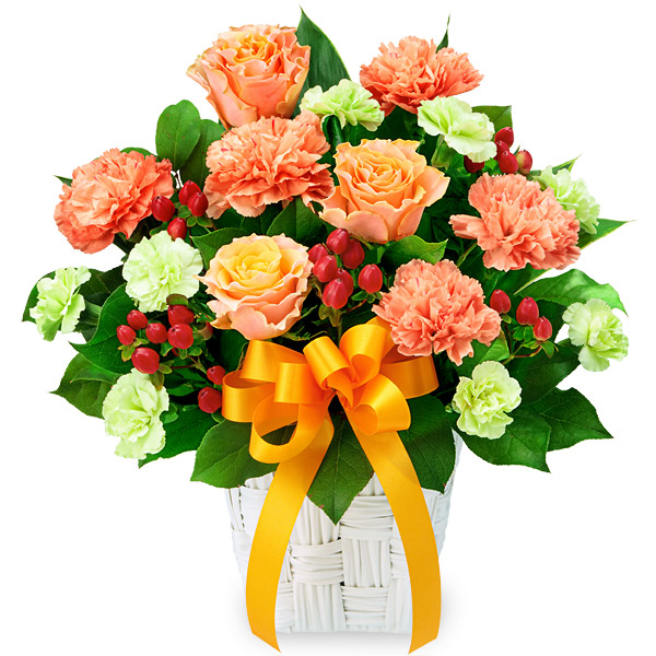 【母の日】バラとオレンジリボンのアレンジメント） og512075 ｜花キューピットの母の日プレゼント特集2022
