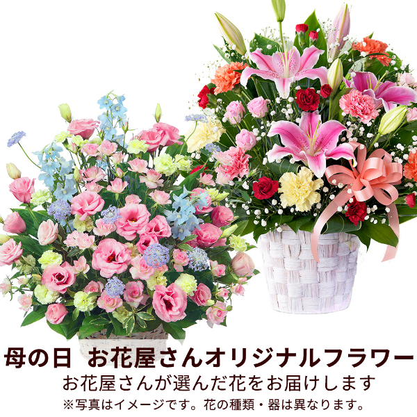 【母の日（遅れてごめんね） ギフト】【お花屋さんおすすめ】オリジナルアレンジ