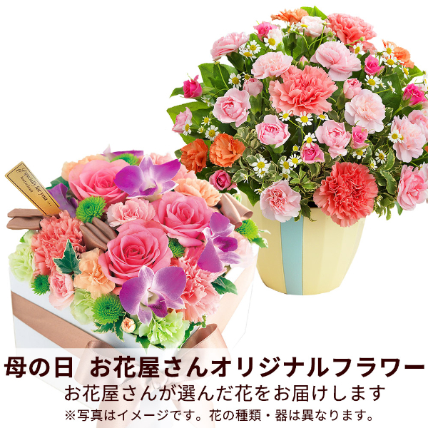 【母の日（遅れてごめんね） ギフト】【お花屋さんおすすめ】オリジナルアレンジ