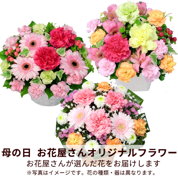 【母の日迄お届け便】【お花屋さんおすすめ】　オリジナルアレンジ