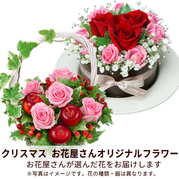 【クリスマスまでにお届けギフト】【花屋オリジナル】クリスマスのアレンジメント