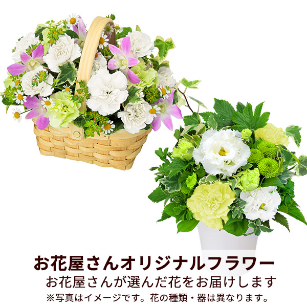 【予算で選ぶ（お供え） 3000円から】【お花屋さんおすすめ】オリジナルアレンジ