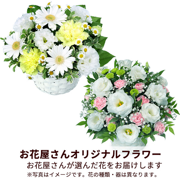【予算で選ぶ（お供え） 3000円から】【お花屋さんおすすめ】オリジナルアレンジ