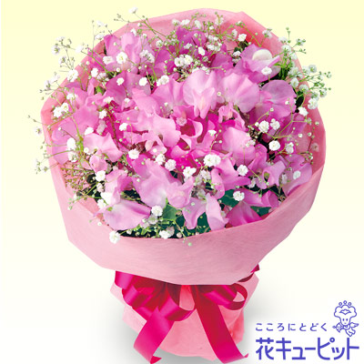 すべての美しい花の画像 新着スイートピー ピンク