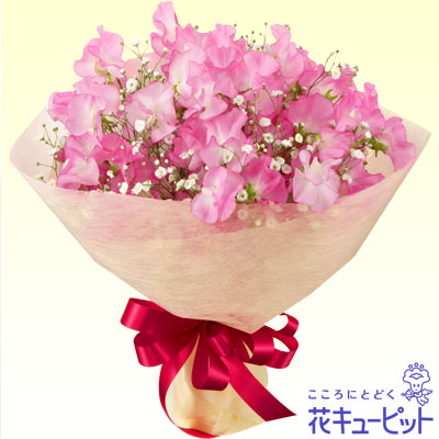 ピンクスイートピーのブーケ 予算で選ぶ 3000円から 花や花束の宅配 フラワーギフト通販なら花キューピット