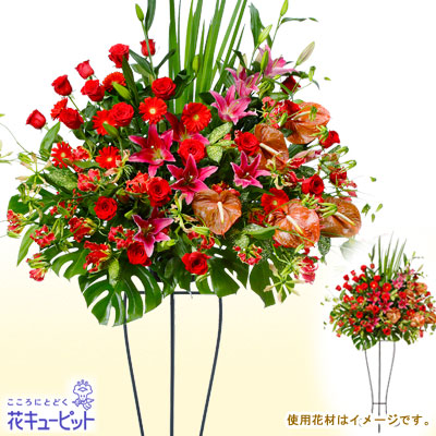 【スタンド花・花輪（開店祝い・開業祝い）】スタンド花お祝い1段（赤系）シックで大人な雰囲気のスタンド花