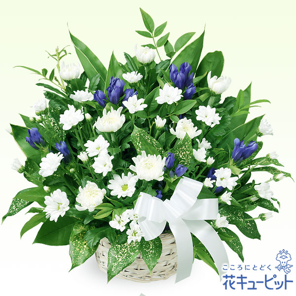 【お供え・お悔やみの献花】お供えのアレンジメント白菊と紫リンドウのオーソドックなアレンジメント