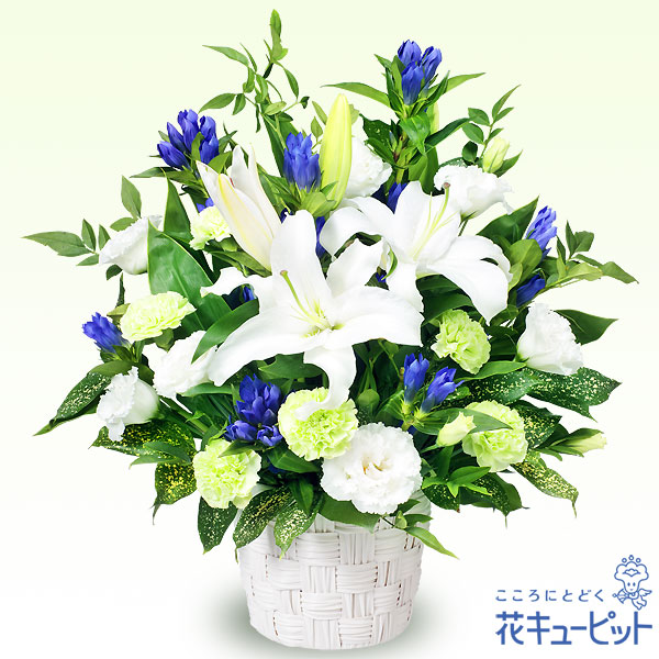 【四十九日法要以降に贈る献花】お供えのアレンジメント白と青の花が哀惜の気持ちを表現。