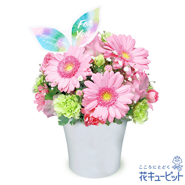 【3月の誕生花（ピンクガーベラ）】ガーベラのエレガントアレンジメントエレガントでシンプルなアレンジメント