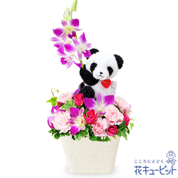デンファレのマスコット付きアレンジメント パンダ 出産祝い 花や花束の宅配 フラワーギフト通販なら花キューピット