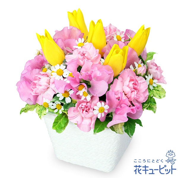 スイートピーとイエローチューリップのアレンジメント 春のお祝い ランキング 花や花束の宅配 フラワーギフト通販なら花キューピット