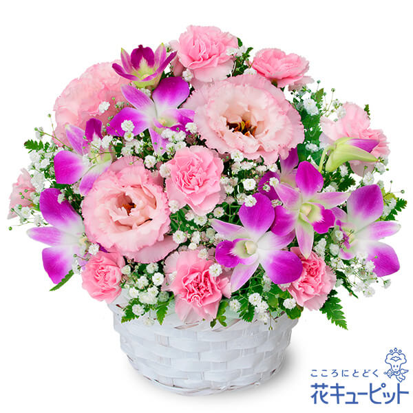 【9月の誕生花（デンファレ）】ピンクデンファレのアレンジメント上品で柔らかな印象は優しいあの人にぴったり