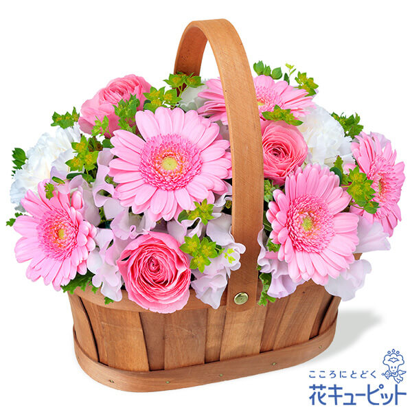 【誕生花 3月（ピンクガーベラ）（法人）】ピンクガーベラのハーモニーバスケット