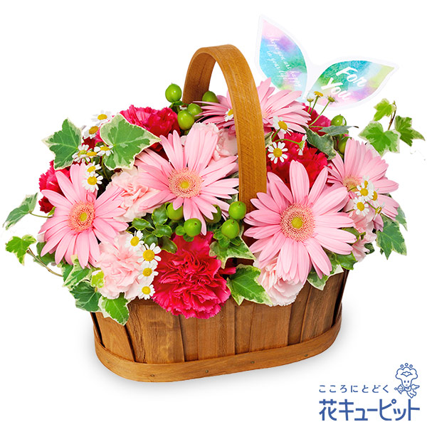 【11月の誕生花（ガーベラ）（法人）】ピンクのハーモニーバスケット