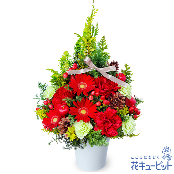 【クリスマスフラワー】クリスマスのツリー風アレンジメントクリスマスにぴったりなツリー風の花