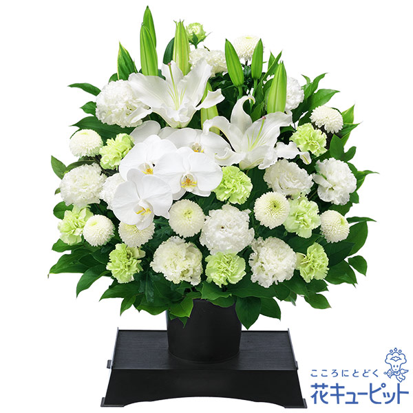 【通夜・葬儀に贈る献花】お供えのアレンジメント白ユリや胡蝶蘭を使った美しいお供え花
