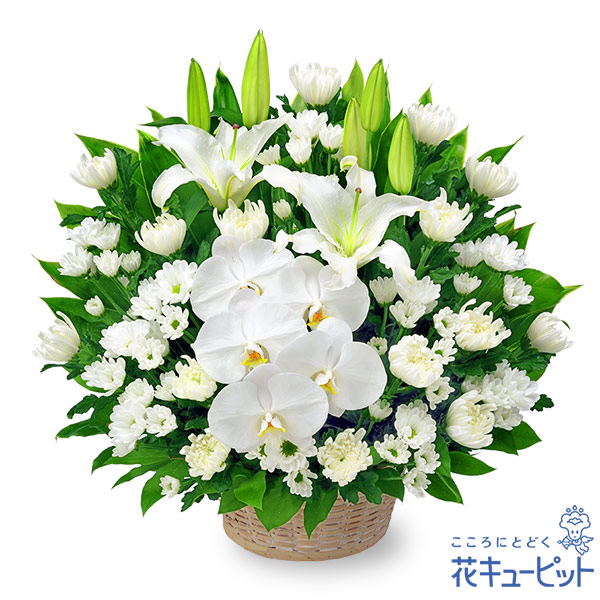 【通夜・葬儀に贈る献花】お供えのアレンジメント白ユリと胡蝶蘭が美しく映えるお供えの花