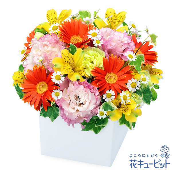 【卒園卒業・入園入学祝い】イエローアルストロメリアのキューブアレンジメント色とりどりの花が元気を届けてくれるギフト