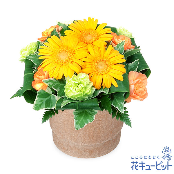 【11月の誕生花（ガーベラ）】イエローガーベラのウッドポットアレンジ「究極の愛」という花言葉をもつ黄色のガーベラ