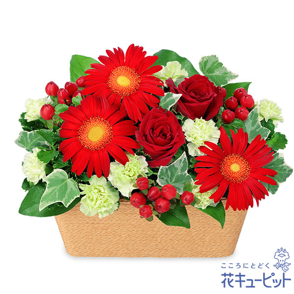 【誕生花 12月（赤バラ）(法人）】赤バラのスクエアバスケット