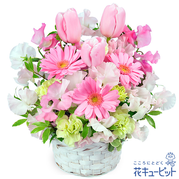 【誕生花 2月（チューリップ）(法人）】春のピンクアレンジメント