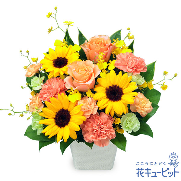 【父の日　ランキング】お父さんありがとうアレンジメントお父さんにぴったりな花々が盛りだくさん