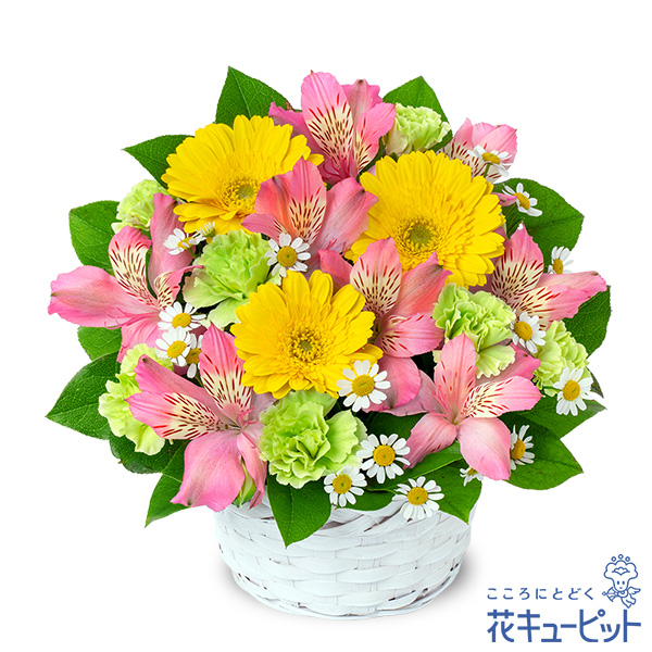 【4月の誕生花（アルストロメリア）】ピンクアルストロメリアのアレンジメントピンクと黄色の組み合わせが春らしいギフト