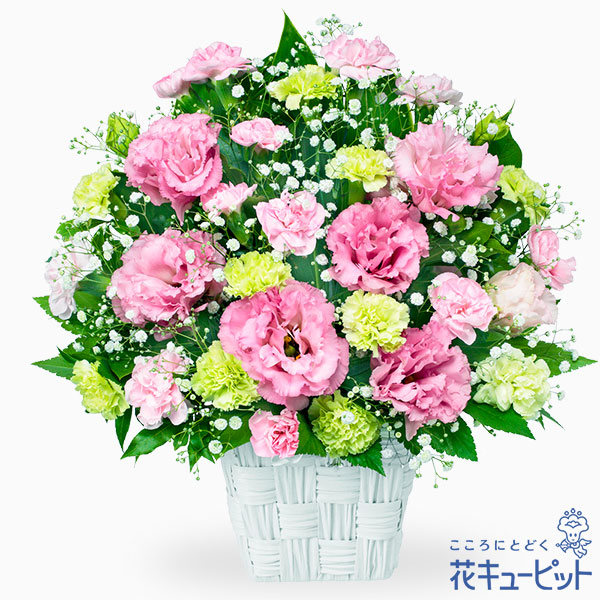 【8月の誕生花（トルコキキョウ）】トルコキキョウのピンクアレンジメントふんわりやさしい雰囲気のアレンジメント