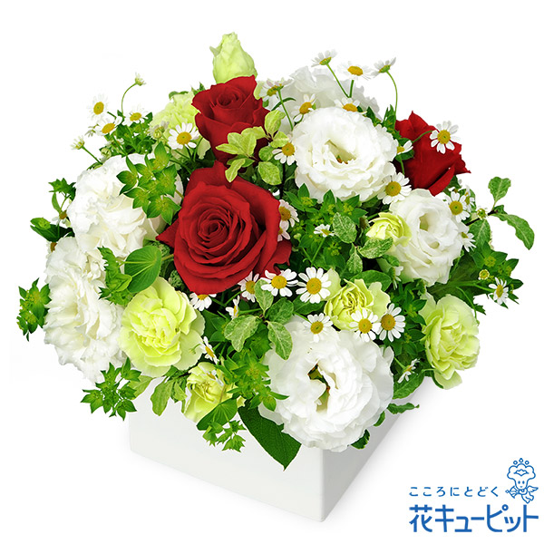【12月の誕生花（赤バラ）】レッドとホワイトのキューブアレンジメント目上の人や幅広い年齢層の方に喜ばれます