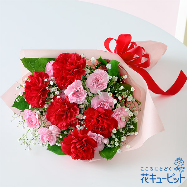 【母の日ギフト】カーネーションの花束母の日にまっすぐな「ありがとう」を贈る