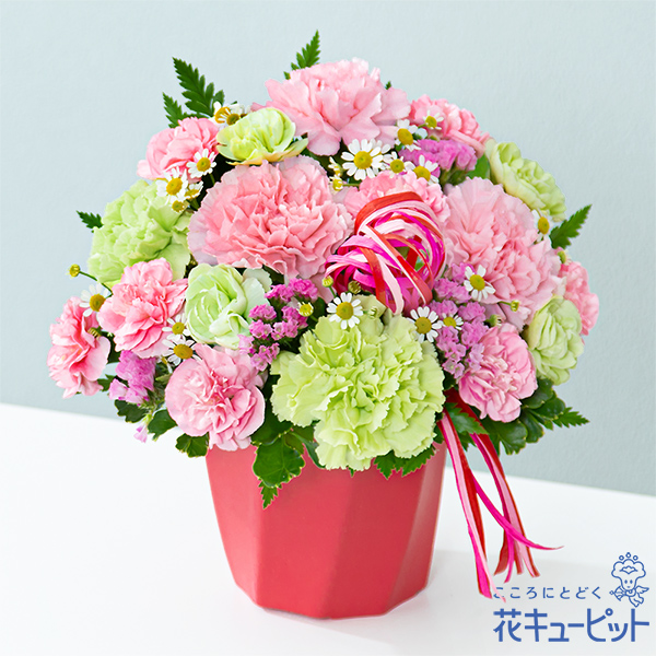 【母の日ギフト】カーネーションのハミングアレンジメント（ピンク）ビビッドなリボンと器が映える新作母の日アレンジメント
