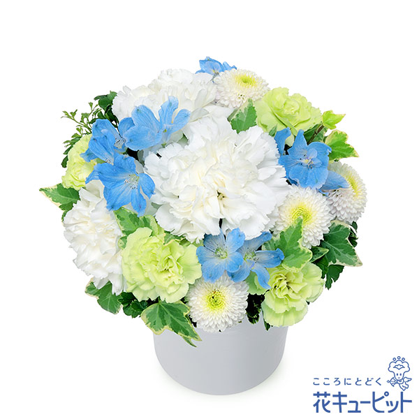 【ペット用フラワーギフト・お供え】お供えのアレンジメント青系の小花が故人を偲ぶ気持ちを伝えます