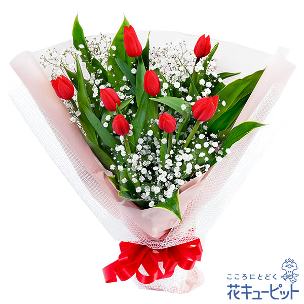 【2月の誕生花（チューリップ）】赤チューリップの花束赤のチューリップの花言葉は「愛の告白」