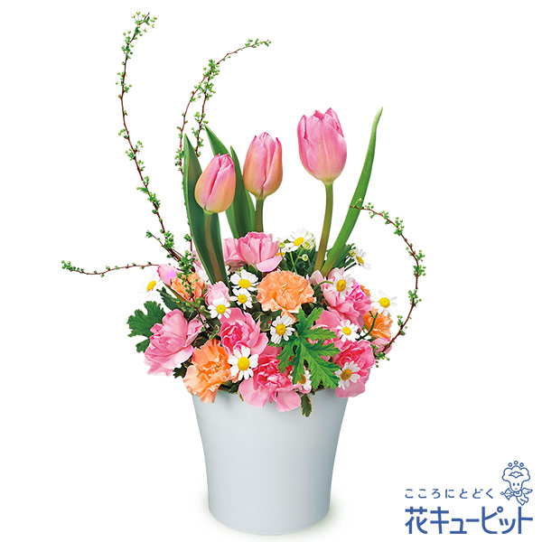 【2月の誕生花（チューリップ）】チューリップのアレンジメントチューリップの伸びやかなシルエットが魅力的