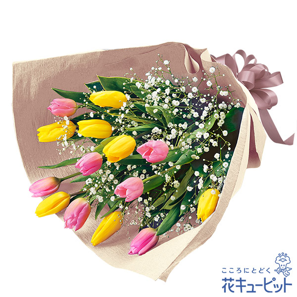 【誕生花 2月（チューリップ）(法人）】2色チューリップの花束