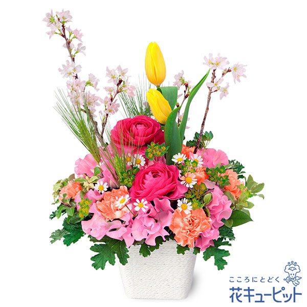 【誕生花 2月（チューリップ）(法人）】桜のカラフルなアレンジメント