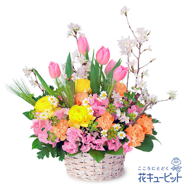 【2月の誕生花（チューリップ）】桜のアレンジメント春の花々を種類豊富に取り入れたアレンジメント