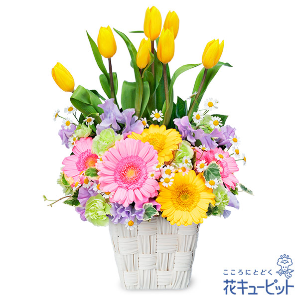 【2月の誕生花（チューリップ）】チューリップとガーベラのアレンジメント生き生きとしたデザインの春限定アレンジメント