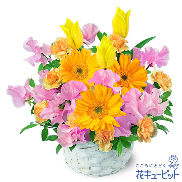 【誕生花 2月（チューリップ）(法人）】春の花のアレンジメント（イエロー）