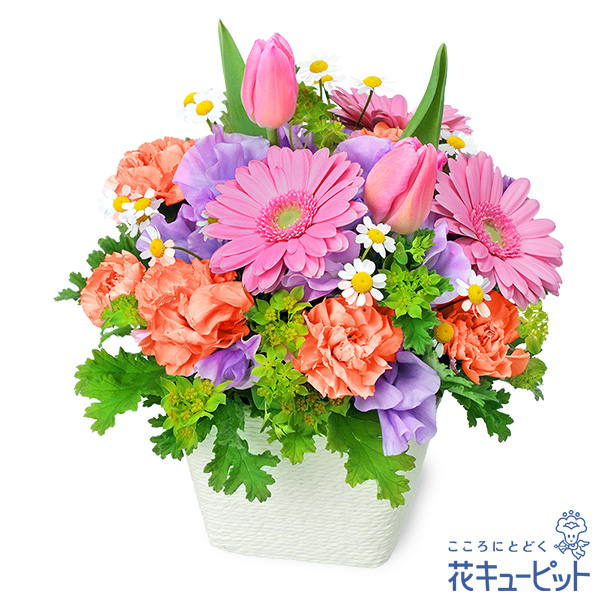 【誕生花 3月（ピンクガーベラ）（法人）】春のガーデンアレンジメント