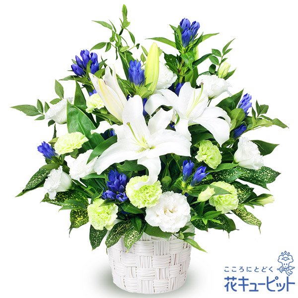 【予算で選ぶ（お供え）　7000円から】お供えのアレンジメント白と青の花が哀惜の気持ちを表現。