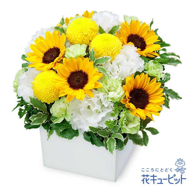 【ペット用フラワーギフト・お供え】ペットのお供えのアレンジメントボックスいっぱいのひまわりが心を癒します