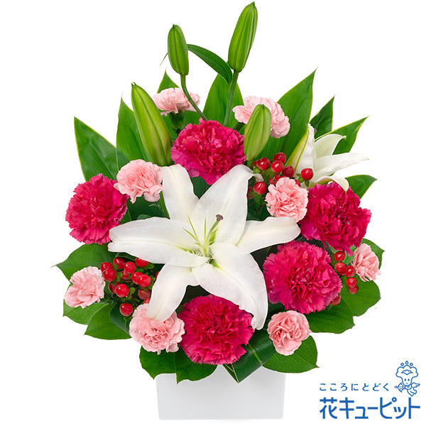 【家族に贈る誕生日フラワーギフト】白ユリとピンクのアレンジメント白ユリがアクセントになった可愛らしいデザイン