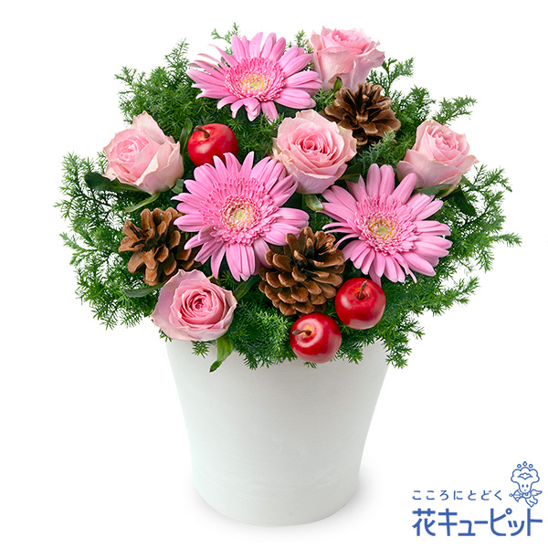 【クリスマスフラワー　ランキング】ピンクバラのウィンターアレンジメント冬にぴったりな花やグリーンで仕上げました