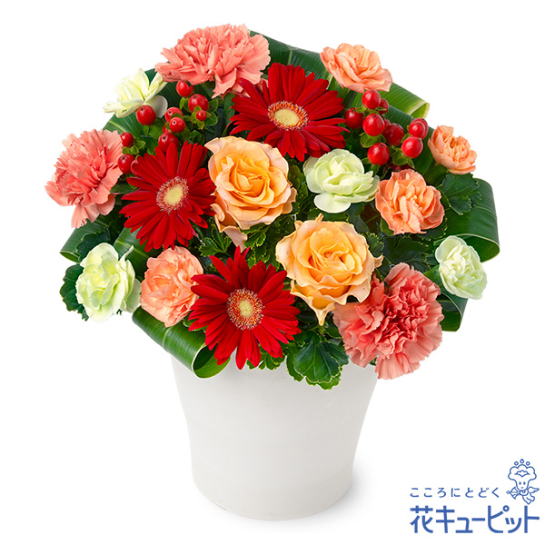 【11月の誕生花（ガーベラ）】オレンジバラと赤ガーベラのアレンジメントシックな見た目で男性・女性ともに喜ばれます