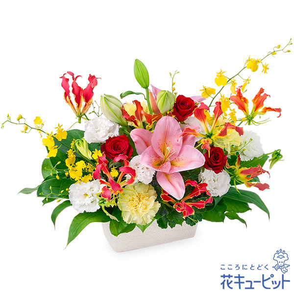 【父の日】ユリとグロリオサの豪華なアレンジメント大きく広がるシルエットが迫力のあるアレンジメント